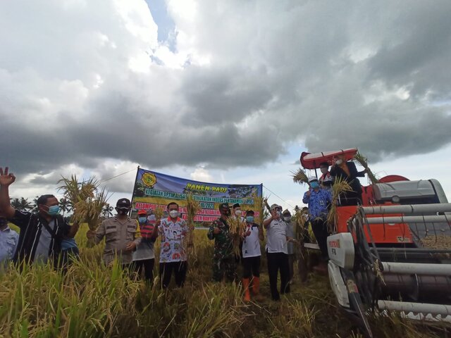 Berkat Program OPIP Kementan, Petani Banyuwangi Panen 4 Kali Setahun Dengan Potensi Hasil 9,1 Ton/Ha