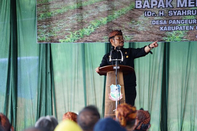 Mentan Dorong Ekspor Tanam Jagung 4.000 Ha di Garut, Jawa Barat