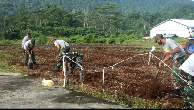 Satgas Pamtas Bersama UPT Kementan Inisiasi Ketahanan Pangan di Perbatasan Indonesia – PNG