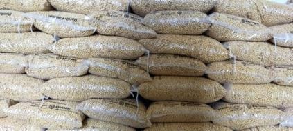 Target Tingkatkan Produksi Kedelai Tahun 2022, Kementan Siapkan Skema Penyediaan Benih Target Tingkatkan Produksi Kedelai Tahun 2022, Kementan Siapkan Skema Penyediaan Benih