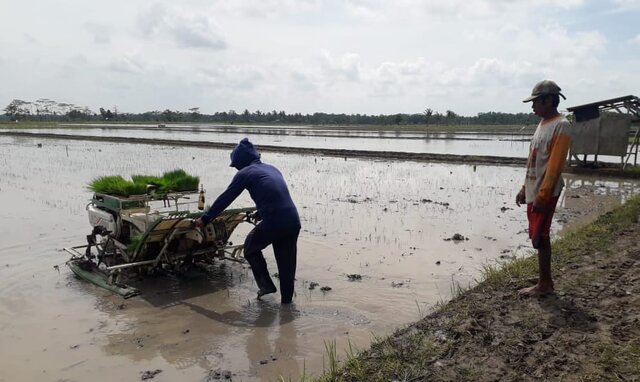 Lampung Siap Genjot Pertanaman Jadi 4 Kali Setahun dan Mitigasi Dampak Perubahan Iklim Lampung Siap Genjot Pertanaman Jadi 4 Kali Setahun dan Mitigasi Dampak Perubahan Iklim