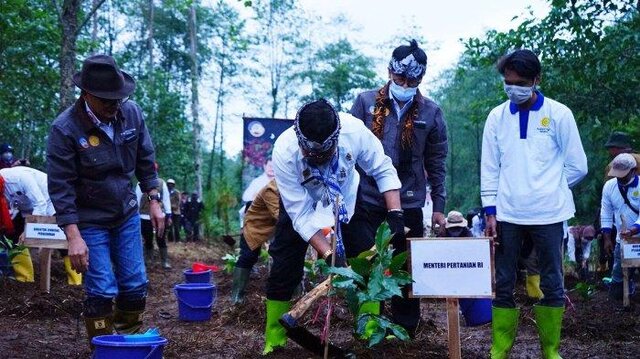 Mentan SYL Targetkan Penanaman 10 Juta Pohon Kopi di Tahun 2022