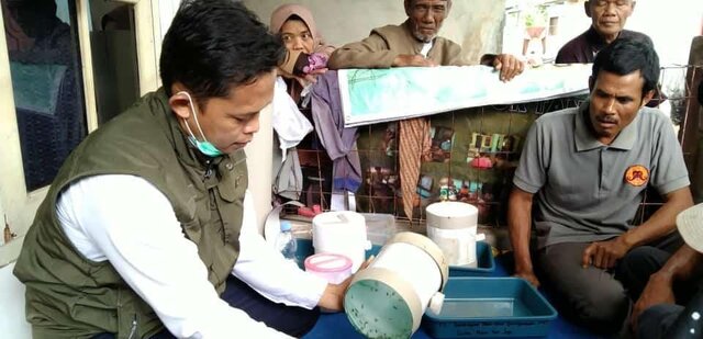 Hasil Produksi Padi Terbukti Meningkat Setelah Menerapkan Prinsip PHT Hasil Produksi Padi Terbukti Meningkat Setelah Menerapkan Prinsip PHT