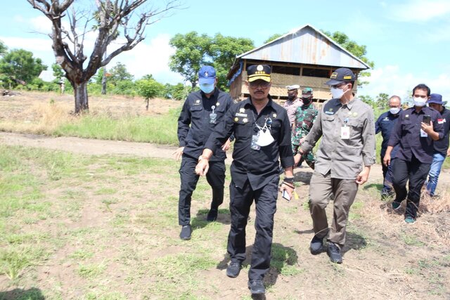 Mentan SYL Pastikan Pertanaman Jagung di Jeneponto Kondisi Bagus Mentan SYL Pastikan Pertanaman Jagung di Jeneponto Kondisi Bagus