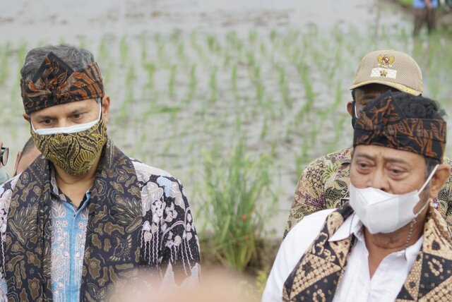 FAO Apresiasi Kemajuan Pertanian dan Ketahanan Pangan Indonesia Selama Pandemi FAO Apresiasi Kemajuan Pertanian dan Ketahanan Pangan Indonesia Selama Pandemi