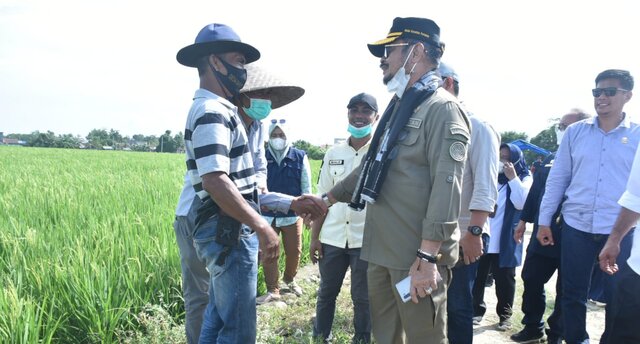 Kunjungi Bulukumba, Mentan SYL Dorong Budi Daya Padi IP 400