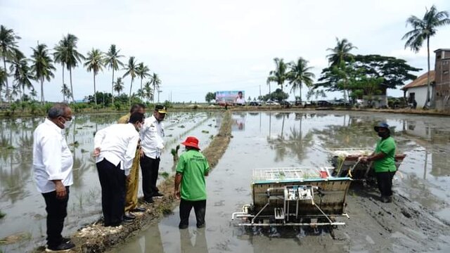 Mentan SYL Dorong Petani Bone Tingkatkan Produksi Padi Lewat Terobosan IP 400