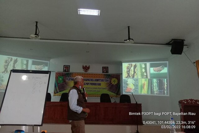 Kementan Intens Bekali Petugas Lapang Lakukan Pendampingan Pengamanan Serangan OPT