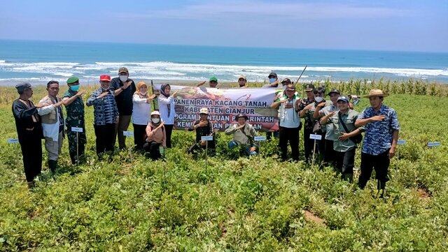 Genjot Produksi Tanaman Pangan, Kementan Lakukan Panen Raya Kacang Tanah Di Cianjur
