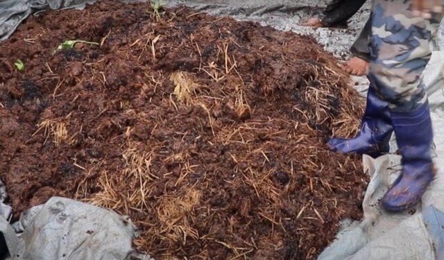 Kompos Alternatif Pupuk Ramah Lingkungan
