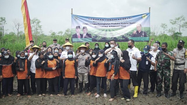 Dorong Produksi Kedelai, Kementan Lakukan Gerakan Tanam Perdana di Gunung Kidul
