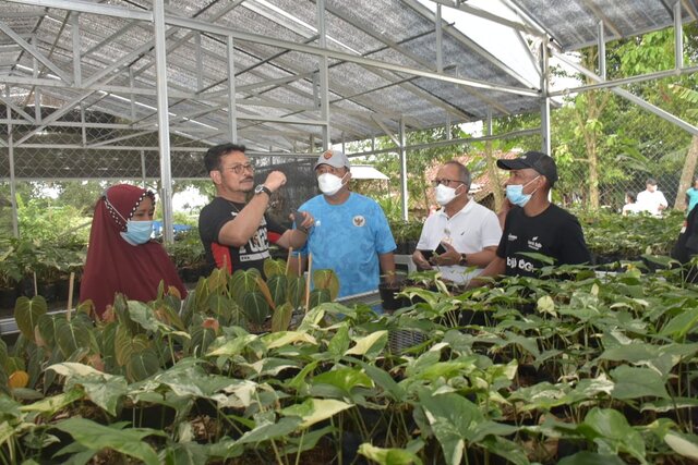 Kementan Dukung Pengembangan Green House Bojongkerta, Cikal Bakal Pemasok Tanaman Hias Ekspor