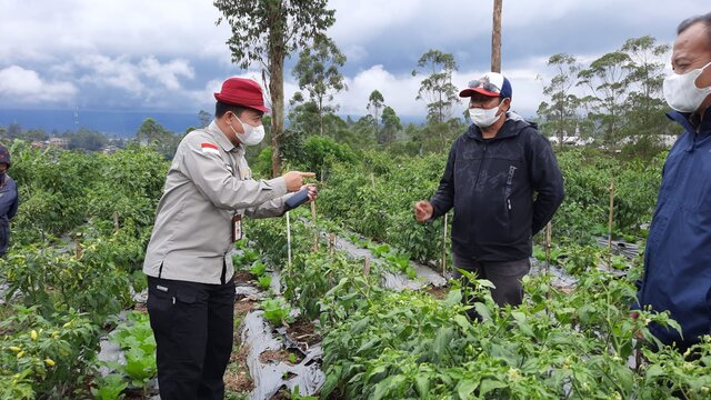 Kementan Beberkan Solusi Dampak Perubahan Iklim di Kampung Sayuran