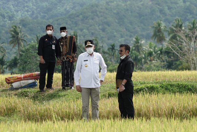 Pastikan Produksi Padi Aman, Mentan SYL Panen Padi Di Aceh