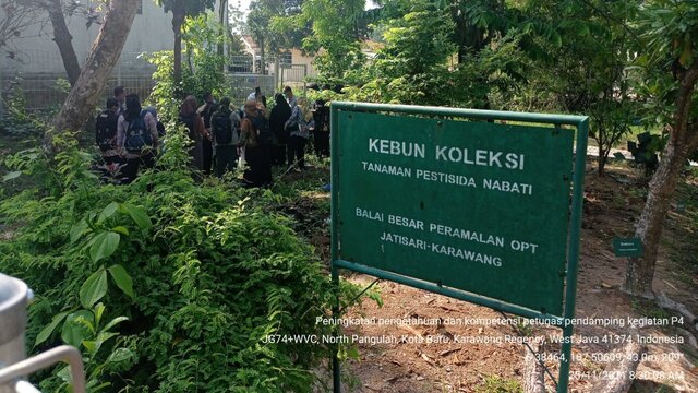 Pestisida Nabati Ampuh Sebagai Agen Pengendali Biologi