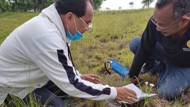 Serius Tangani Belalang Kembara, Kementan Bersama Pakar Turun Ke Lapangan Amankan Pulau Sumba