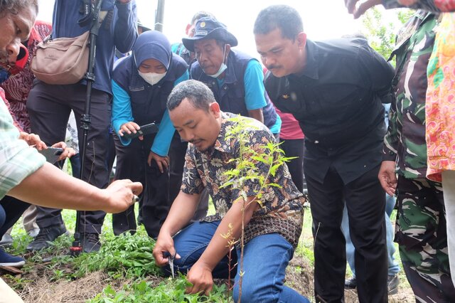 Upaya Tingkatkan Produksi, Kementan Lakukan Demplot Uji Bahan Alami Di Kabupaten Blora