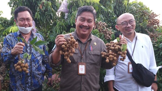 Kampung Lengkeng Kateki, Cara Kementan Sejahterakan Petani