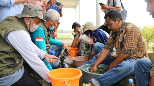 Kementan Gandeng Guru Besar ITB Kenalkan Biosaka ke Petani Indramayu