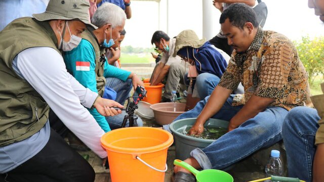 Guru Besar IPB dan ITB Sambut Baik Upaya Kementan Wujudkan Pertanian Berkelanjutan Lewat Bahan Alami