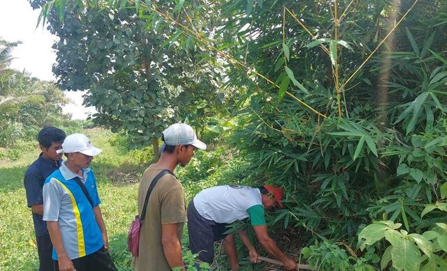 Eksplorasi, Langkah Awal Pengembangan APH Spesifik Lokasi