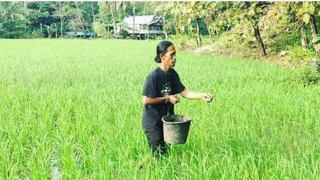 Tingkatkan Kapasitas dan Mutu Benih, Kementan Dorong Peran Penangkar