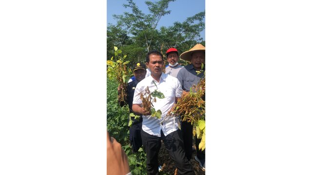 Kementan Adakan Bimtek Model Penerapan Smart Farming, Genjot Produksi Kedelai Lokal