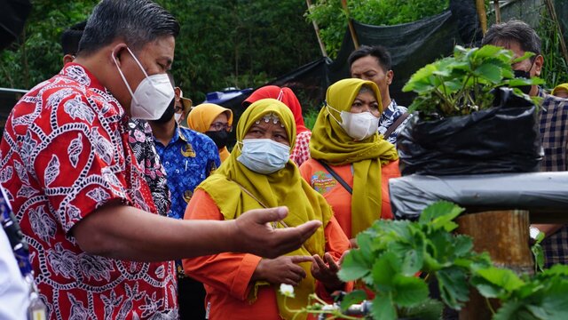 Kementan Dorong Pembangunan Kampung Hortikultura di Daerah Rawan Bencana Bukit Klangon