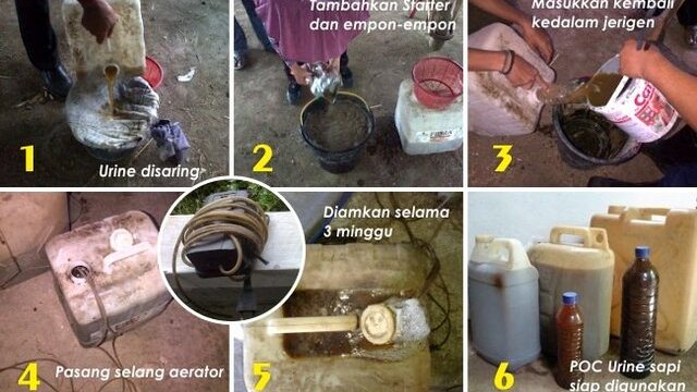 Kementan Dukung Optimalisasi Lahan Pertanian Berkelanjutan Melalui Pemanfaatan Agensia Hayati