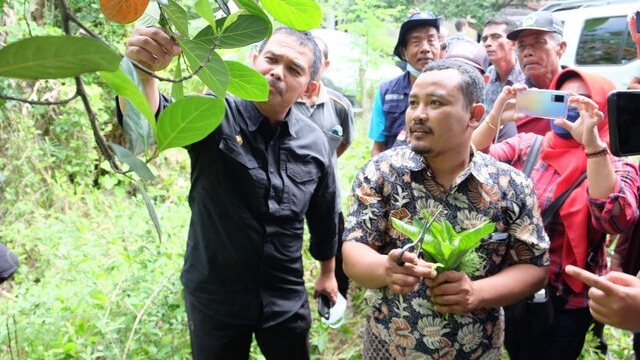 Kementan Terus Mendorong Penggunaan Bahan-Bahan Alami Dalam Budidaya Pertanian