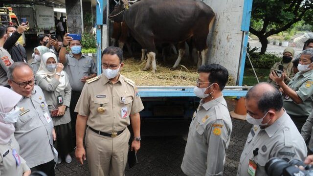 Gubernur Anies Apresiasi Langkah Cepat Kementan Siapkan Pangan Jelang Idul Adha