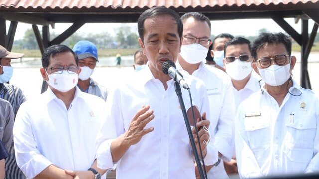 Jokowi Apresiasi Lompatan Kerja Kementan Dalam Produksi Benih Unggul Padi