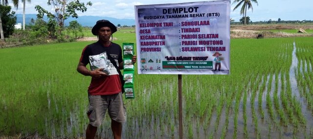 Amankan Produksi, Kementan Gandeng Petani Sulteng Terapkan Budidaya Tanaman Sehat