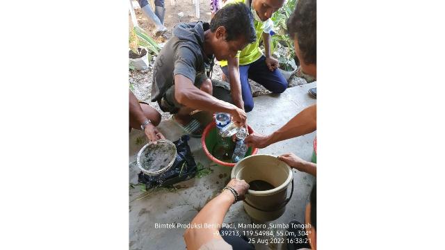 Kementan Kenalkan Bahan Alami Biosaka di Kawasan Food Estate Sumba Tengah, Guna Tekan Biaya Produksi