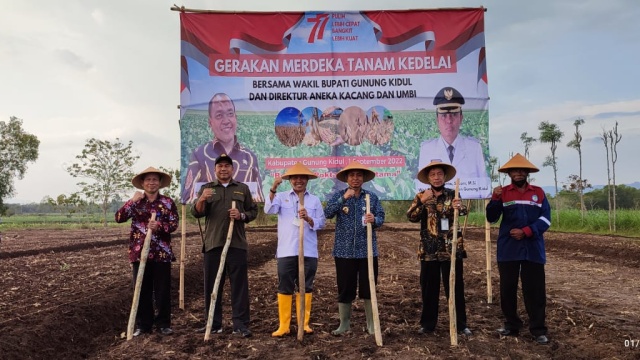 Pengembangan Kawasan Kedelai Berbasis Korporasi Hulu-Hilir Siap Dilaksanakan di Kabupaten Gunung Kidul