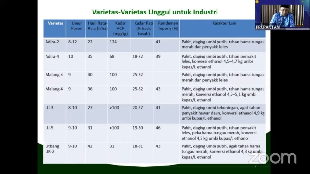 Gairah Pangan Lokal Substitusi Impor, Kementan Genjot Produksi Singkong