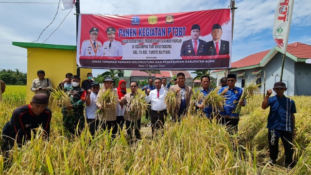 Kementan Kawal Bone Siapkan Benih Padi Varietas Genjah Insitu