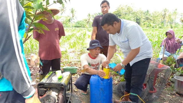 Petani Bengkulu Rasakan Manfaat Agens Hayati Ramah Lingkungan