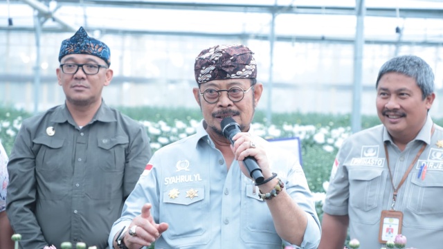 Mentan SYL Panen dan Cek Persiapan Ekspor Bunga Krisan Ke Jepang