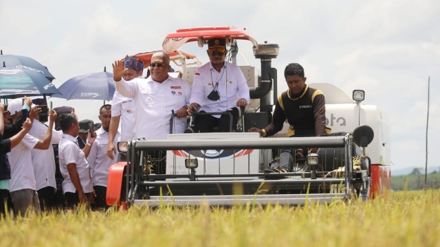 Gelar Panen Raya di Kolaka Timur, Mentan SYL Apresiasi Petani Tingkatkan Produktivitas
