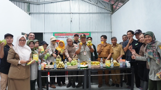 Sumedang Mempersiapkan Diri Ekspor Mangga ke Jepang