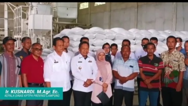Lampung Provinsi Produsen Beras ke 6 Nasional, Setahun Surplus 1,34 juta ton Siap Saat Nataru