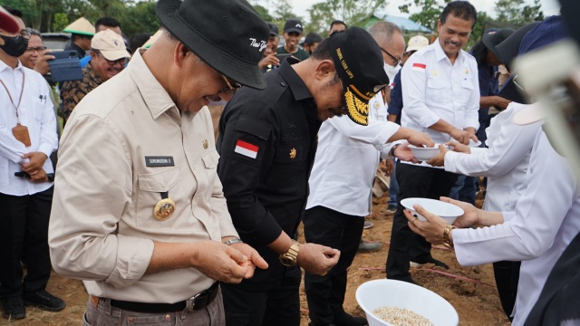 Tanam Sorgum di Konawe Selatan, Mentan SYL Dorong Bupati dan Petani Gunakan KUR