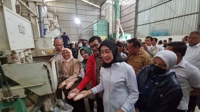 Di Jombang, Komisi IV DPR RI Cek Ketersediaan Beras Di Penggilingan Jelang Panen Raya