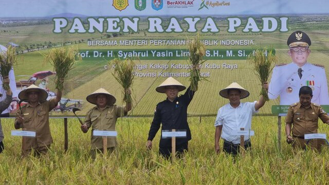 Panen Setiap Hari, Kalbar Pastikan Surplus Stok 317 Ribu Ton Beras 3 Bulan Kedepan