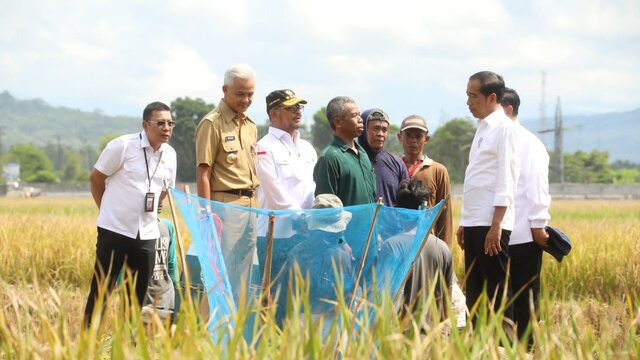 Usai Panen Bersama Presiden, Mentan SYL Canangkan Percepatan Tanam