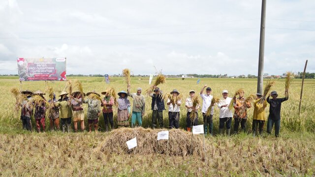 Panen Raya, Kementan Minta Semua Pihak Waspada dan Optimalkan Penyerapan