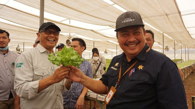 Budidaya Dalam Screen House, Langkah Jitu Stabilkan Produksi Sayuran