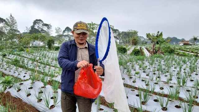 Jaga Keseimbangan Ekosistem Pertanian, Kementan Inventarisasi Musuh Alami