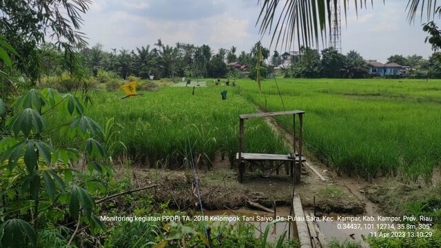 Biopori Di Provinsi Riau : Air Cepat Surut, Panen Cepat Naik